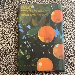 Lana Del Rey poetry book